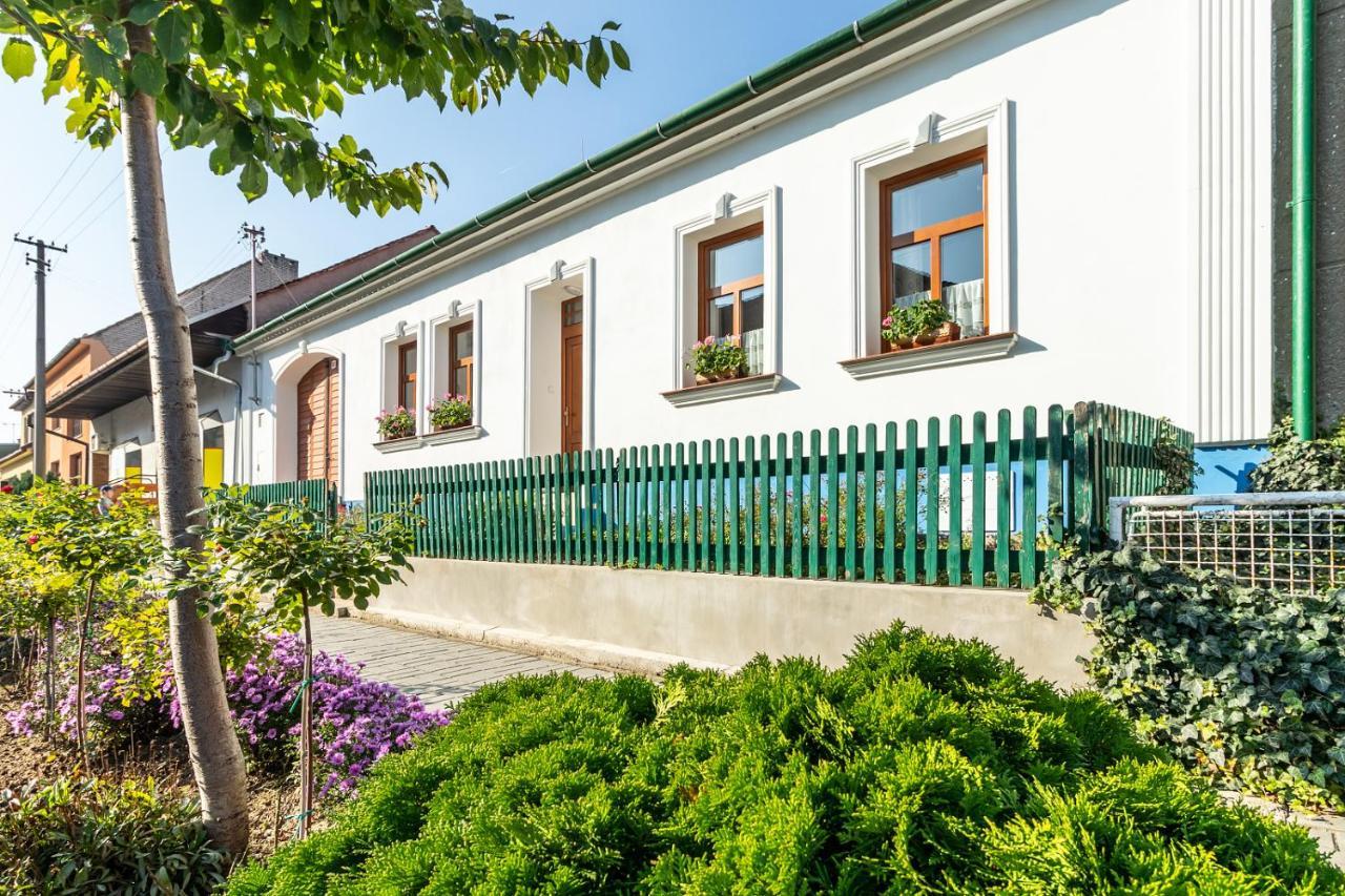 Apartment U Starenky
