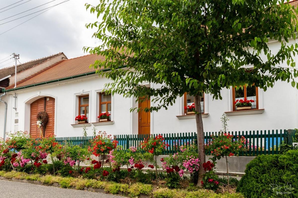 Apartment U Starenky